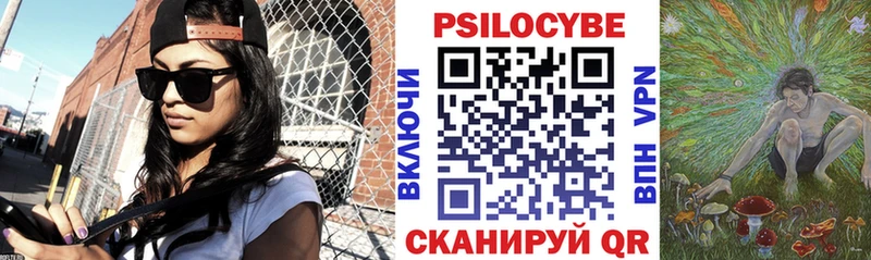 Псилоцибиновые грибы Psilocybine cubensis  Пикалёво 