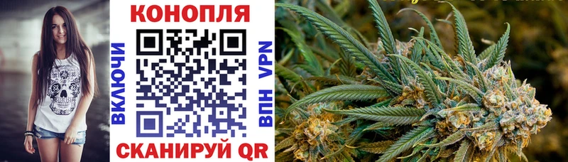 Бошки Шишки Amnesia  Пикалёво 